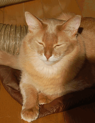 DSC_0170.gif