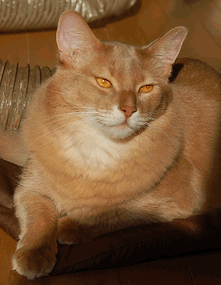 DSC_0176.gif