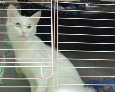 DSC_0485.JPG