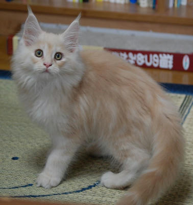DSC_0314.jpg