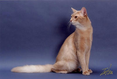 k06.jpg