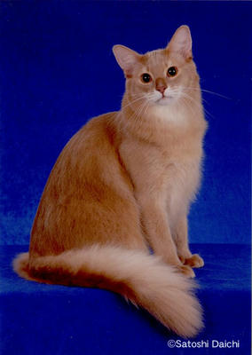 k08.jpg