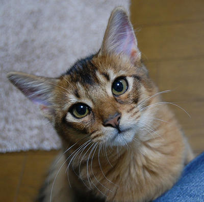 DSC_0014.jpg