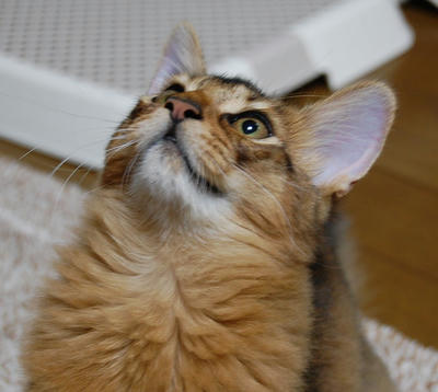 DSC_0041.jpg