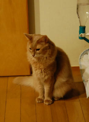 DSC_0120.jpg