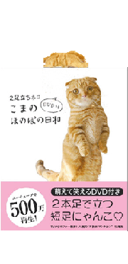 8a838f02.gif
