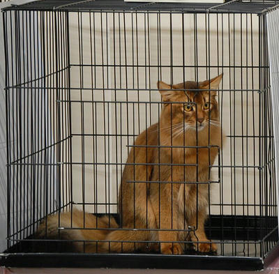 DSC_0114.JPG