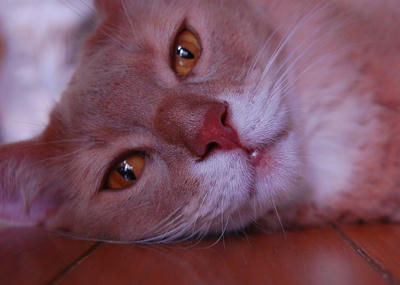 DSC_0073.jpg