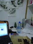 R0010838.JPG