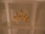 54a4b460.jpg