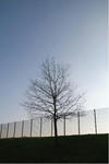 9ea69710.JPG