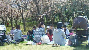 2011042511340000.jpg