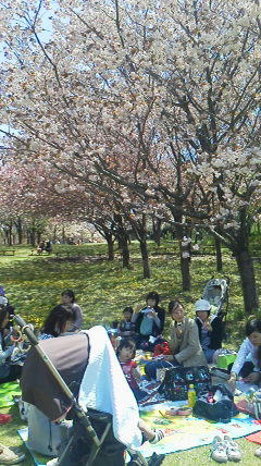 2011042511350001.jpg