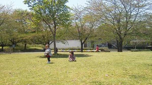 2011042511580000.jpg