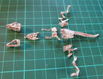 T-REXの発掘