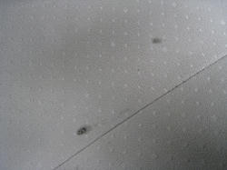 s-IMG_0714.jpg