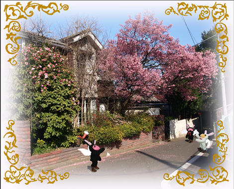 kozi_090320.jpg