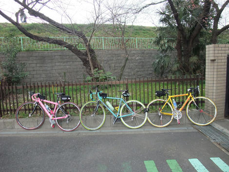 kozi_090323_1.jpg