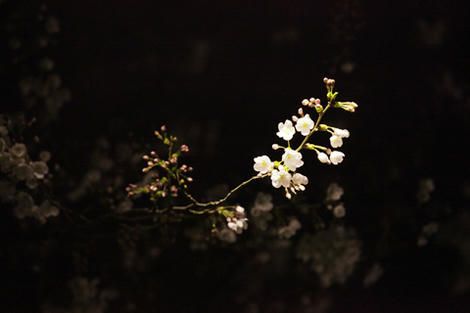 TBP_007.jpg
