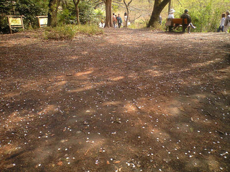 mochhi_090406_03.jpg