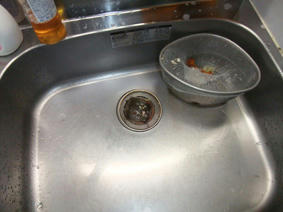 DSCF0263.JPG