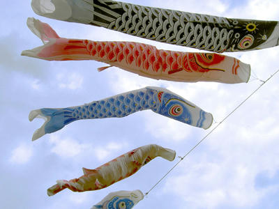 kaki_090504.jpg