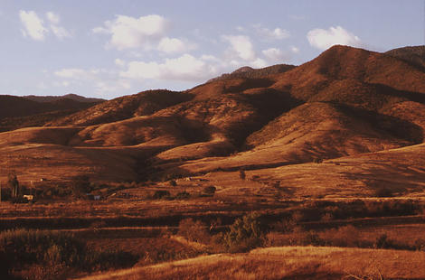 TBP_022.jpg