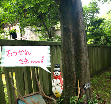 kozi_090710.jpg