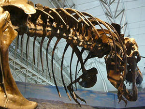mochhi_090929_09.jpg