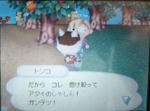 トンコの写真☆
