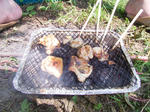 RIMG1239.JPG