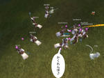 bot001.jpg