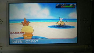 ポケットモンスターoras初動記 霰組相談役のぼやき