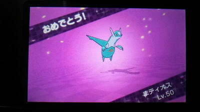 ポケットモンスターoras初動記 霰組相談役のぼやき