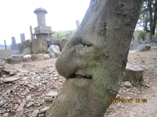 IMG_0286.gif