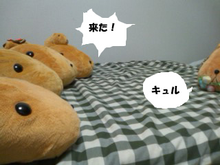 カピバラ一家