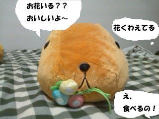 カピバラ一家