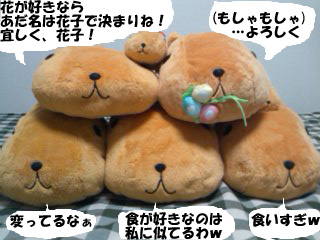 カピバラ一家
