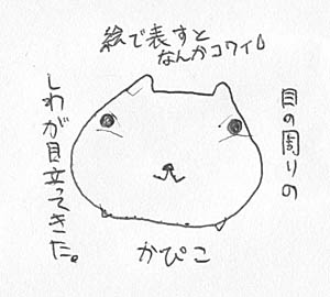 kapiko