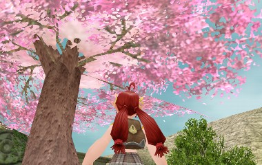 桜