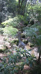 100418_1404~01.jpg