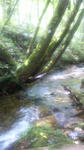 100906_1021~01.jpg