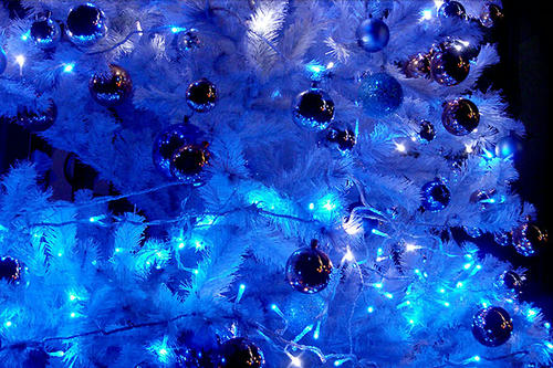 tree07.jpg