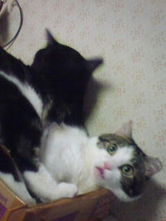 DSC00143.JPG