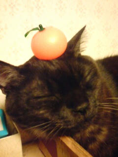 20080124212656.jpg