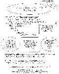 5e213c93.gif