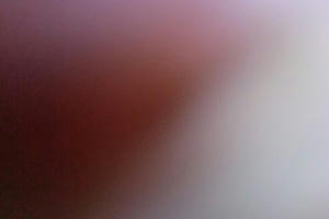 CIMG0565.JPG