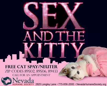 Sex-and-the-Kitty-Ad-4-30-12-Draft-JH.jpg