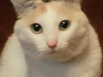 CIMG1111.JPG