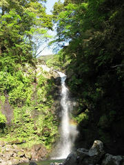 大棚の滝